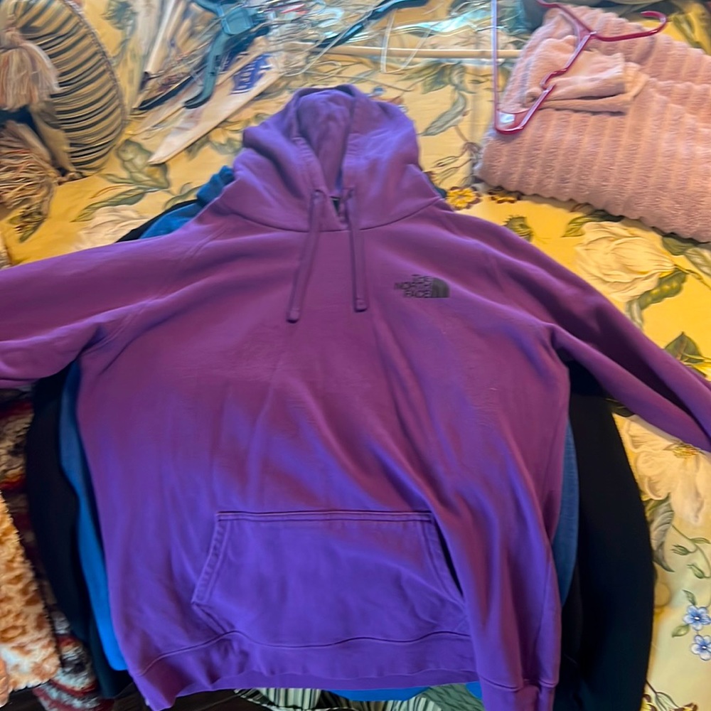 bright purple north face hoodie